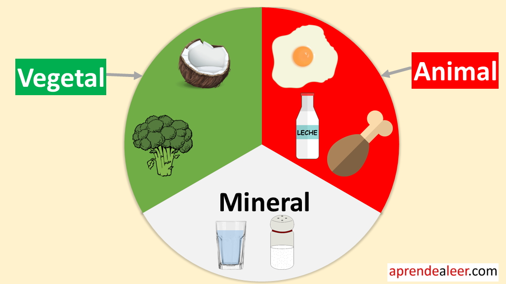 Alimentos De Origen Animal Vegetal Y Mineral